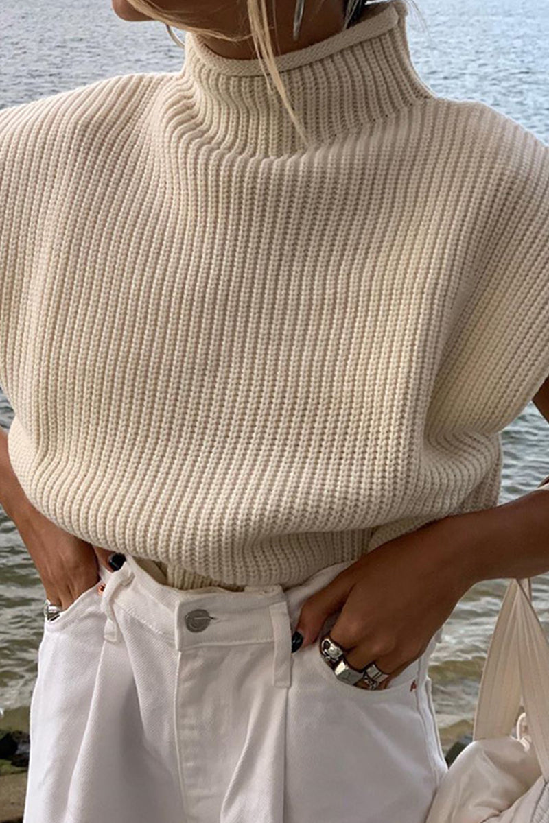 Casual Solid Turtleneck Sweaters (8 Colors)