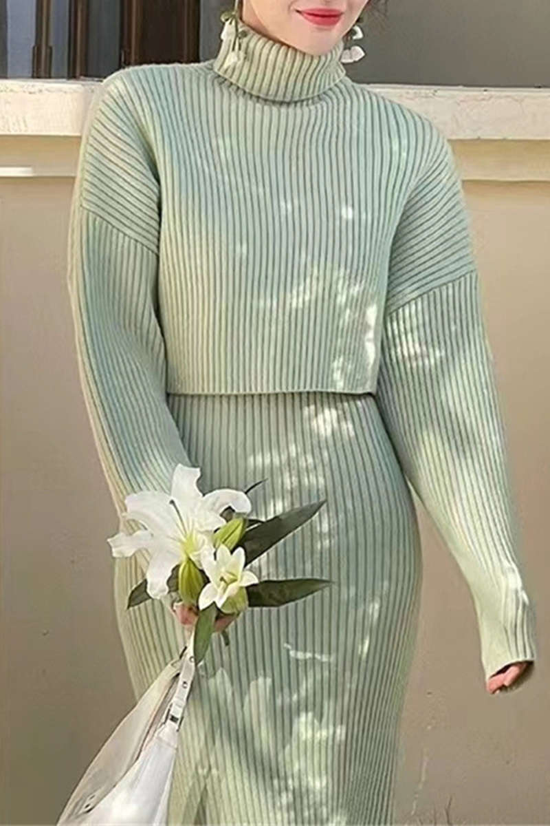 Elegant Solid Color Weave Potholes Turtleneck Long Sleeve Two Pieces