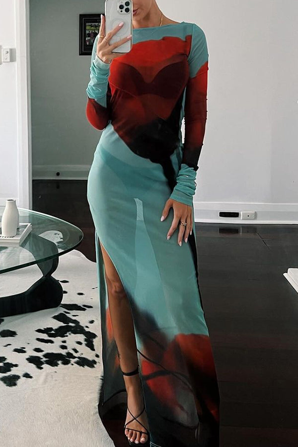 Mesh Floral Print Round Neck Long Sleeve Flexible Maxi Dress