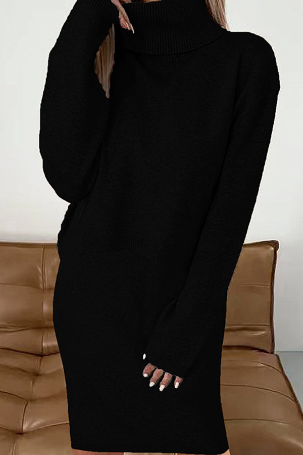 Monochrome Turtleneck Sweater & Knee Length Dress Set