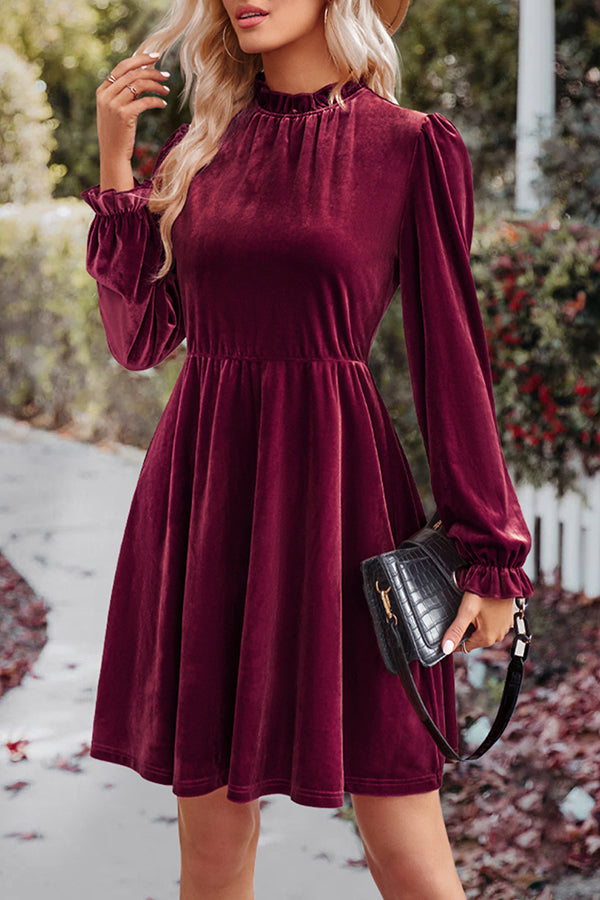 Turtleneck Long Sleeve Velvet Mini Dress