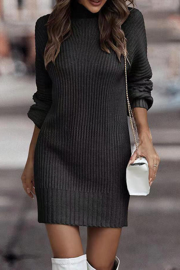 Rieuh Turtleneck Long Sleeve Knitted Mini Dress