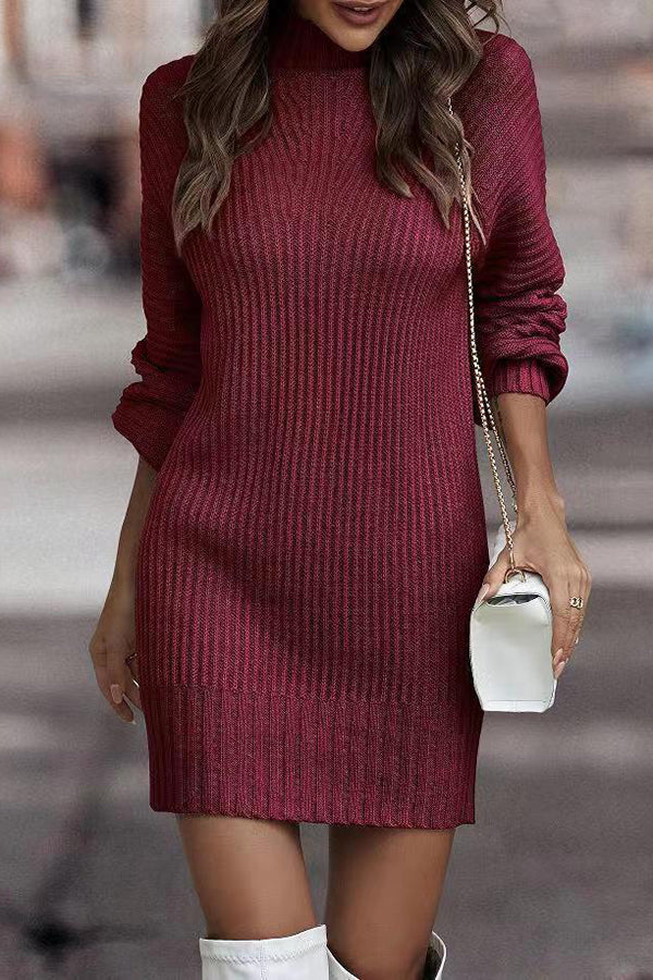 Rieuh Turtleneck Long Sleeve Knitted Mini Dress