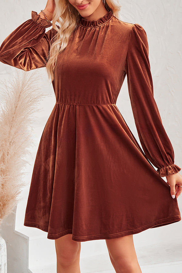 Turtleneck Long Sleeve Velvet Mini Dress