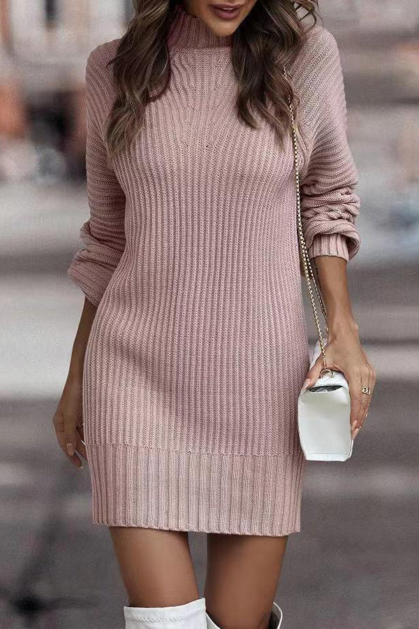 Rieuh Turtleneck Long Sleeve Knitted Mini Dress