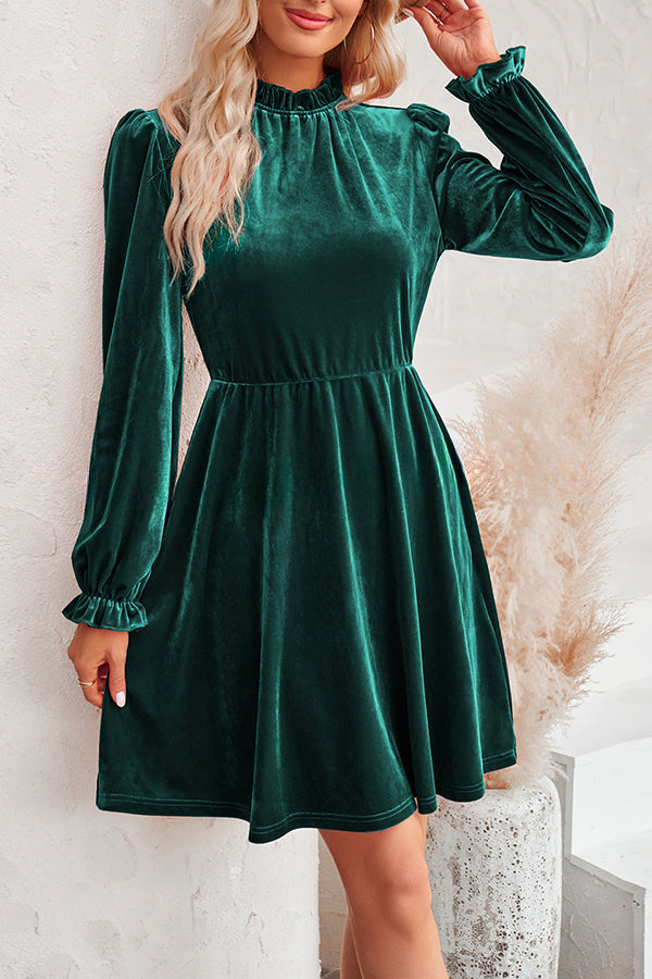 Turtleneck Long Sleeve Velvet Mini Dress