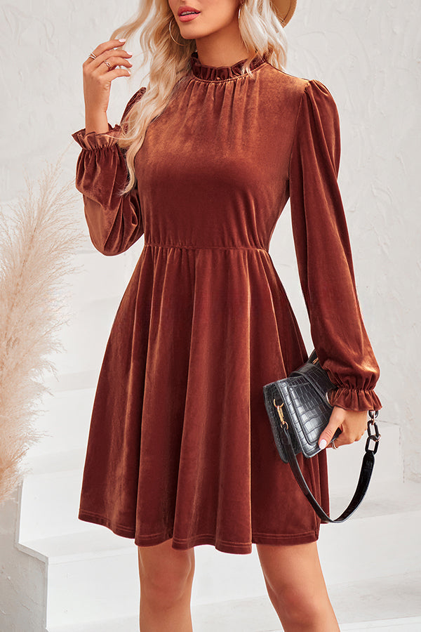 Turtleneck Long Sleeve Velvet Mini Dress