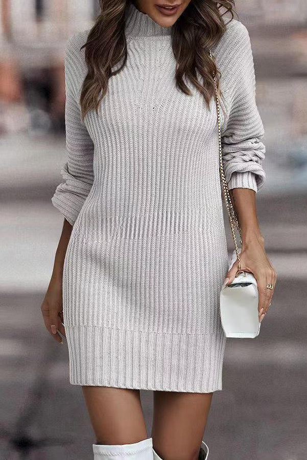 Rieuh Turtleneck Long Sleeve Knitted Mini Dress