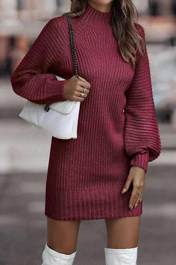 Rieuh Turtleneck Long Sleeve Knitted Mini Dress