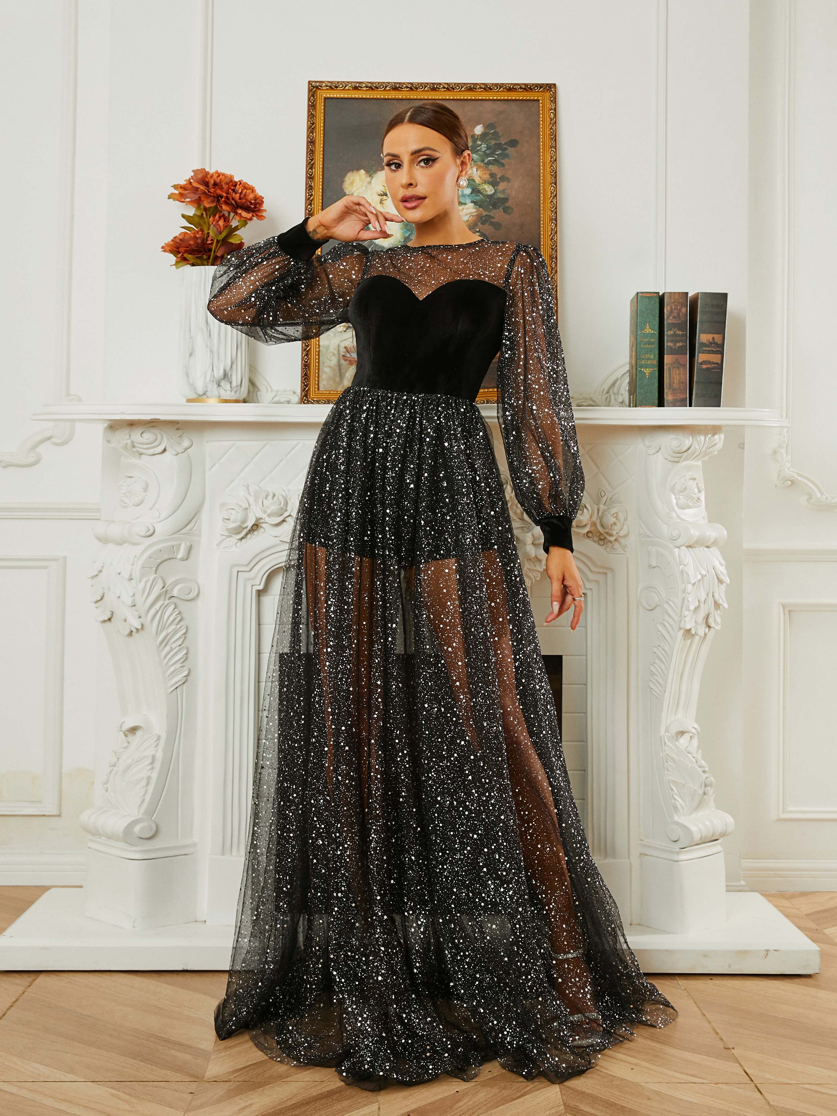 Crew Neck A-Line Panel Long Sleeve Evening Dress RH30652