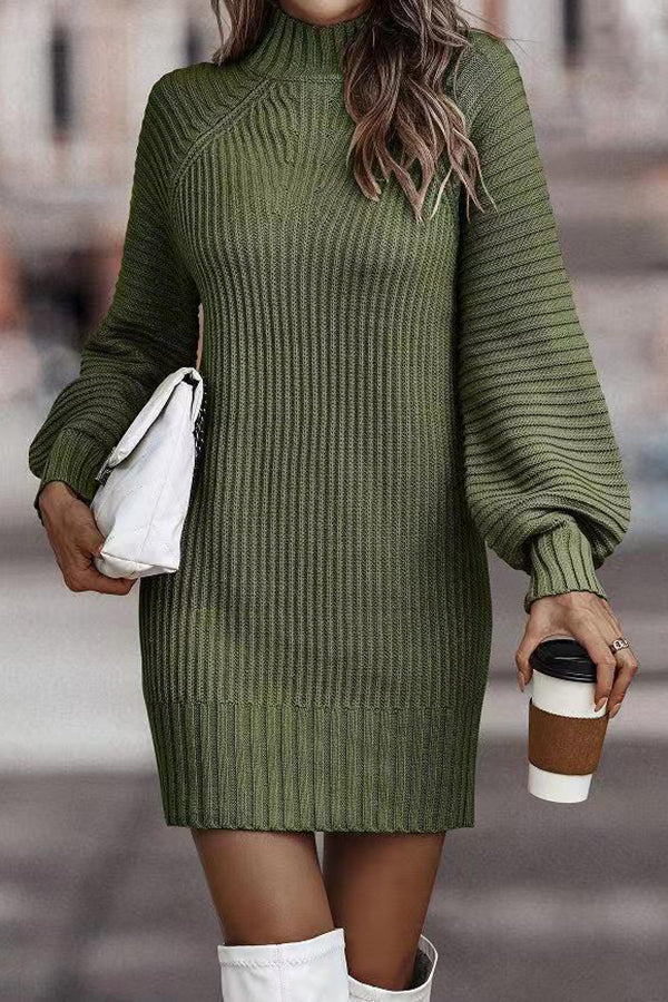 Rieuh Turtleneck Long Sleeve Knitted Mini Dress