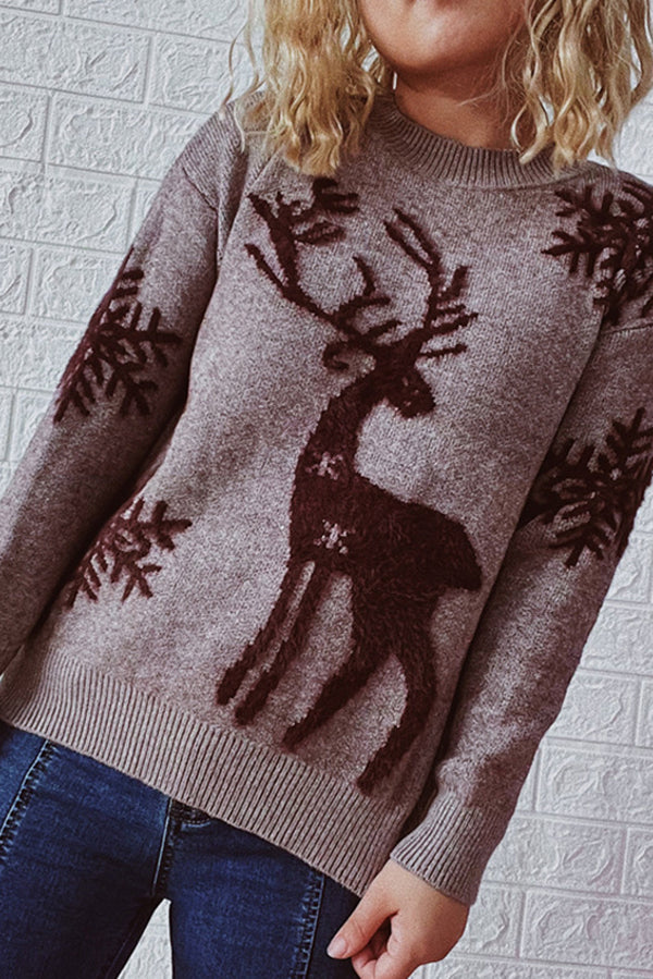 Christmas Pattern Knitted Crew Neck Long Sleeved Sweater