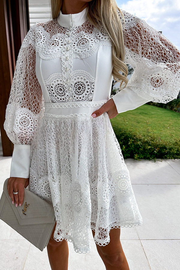 Peak Party Vibes Crochet Lace Lantern Sleeve Formal Mini Dress