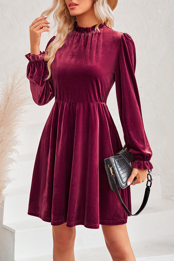 Turtleneck Long Sleeve Velvet Mini Dress